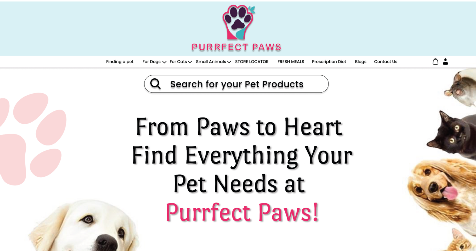 Creating a Magento-Powered eCommerce Platform for Luxury Pet Products