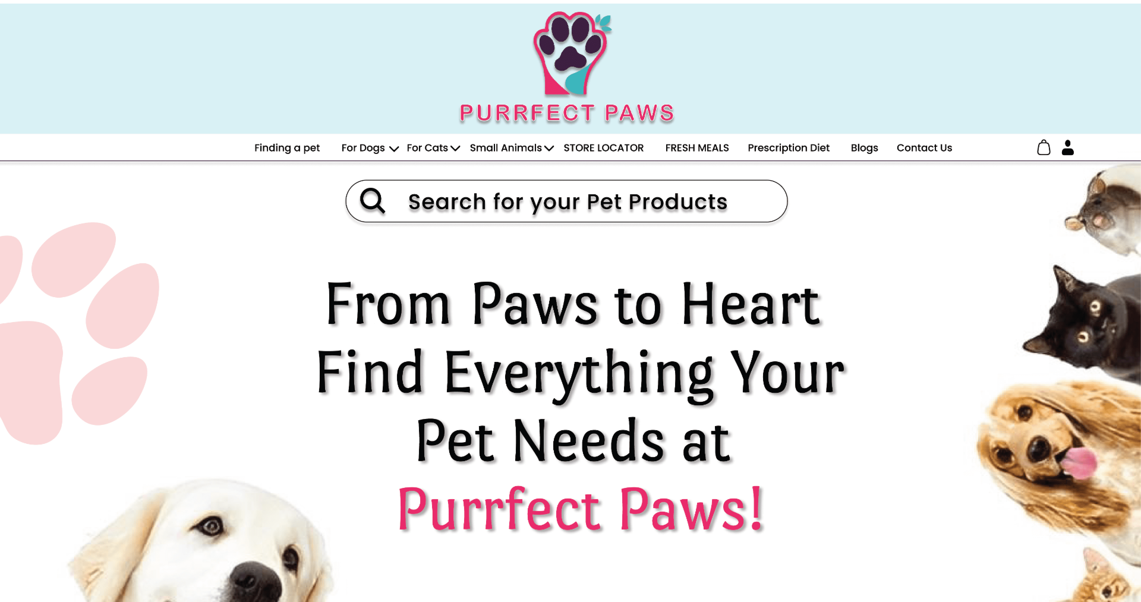 Creating a Magento-Powered eCommerce Platform for Luxury Pet Products