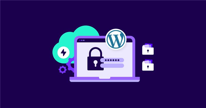 SEO & Security Basics Protect and Promote Your e-store