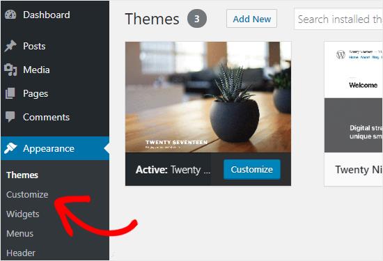 Theme Customization Create Website Design