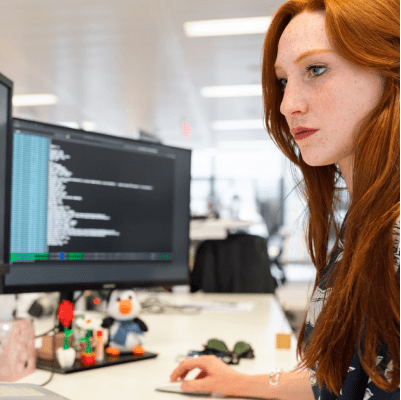 Developer at Work