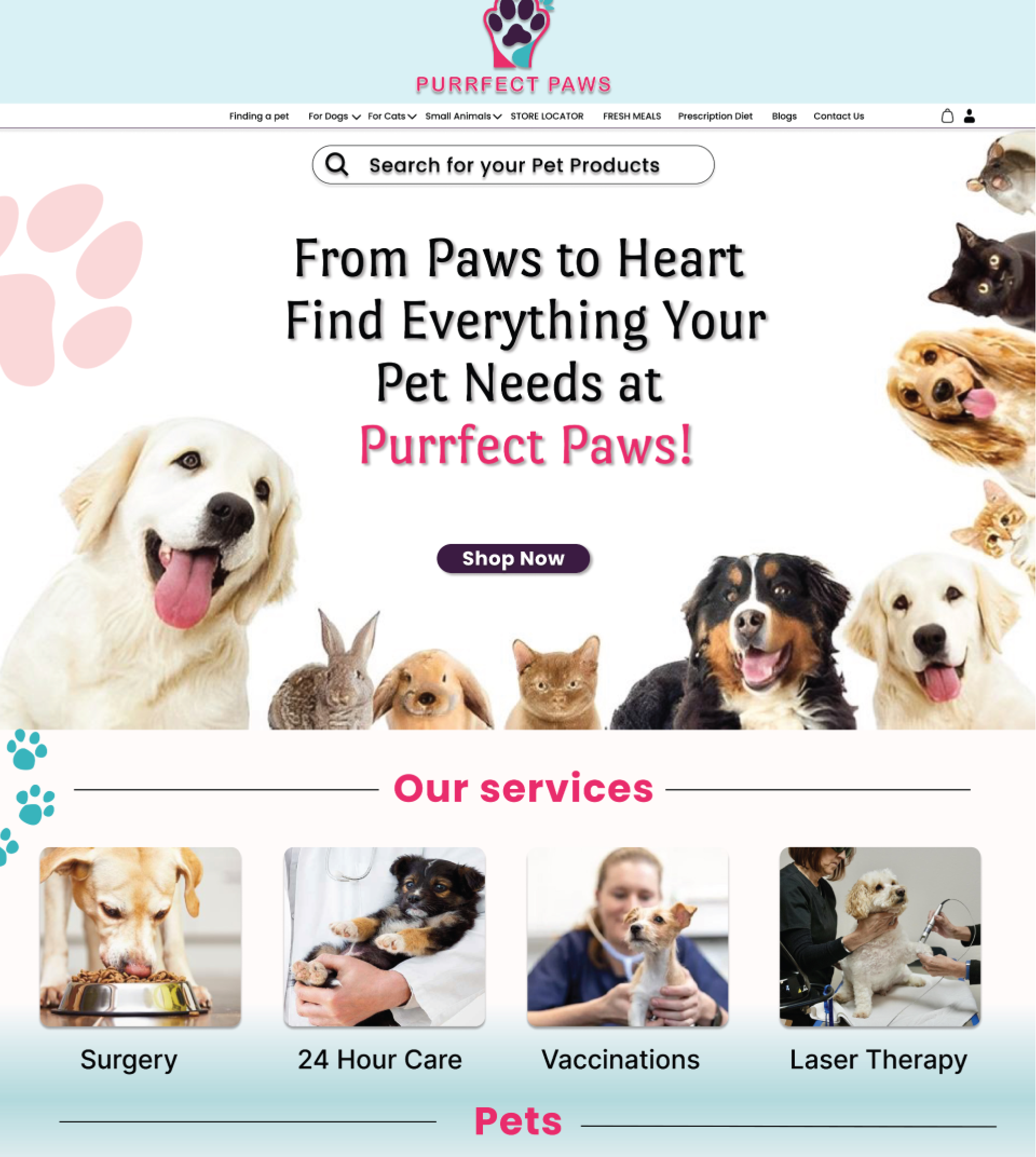  Creating a Magento-Powered eCommerce Platform for Luxury Pet Products