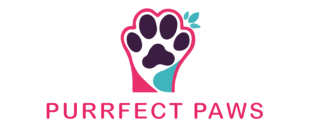 Creating a Magento- Powered eCommerce Platform for Luxury Pet Products